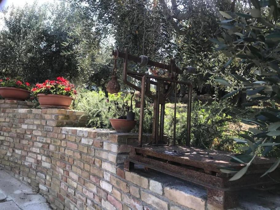 Appartamento Olivo Collecorvino Exterior photo
